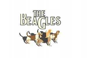 adhesivos de beagle